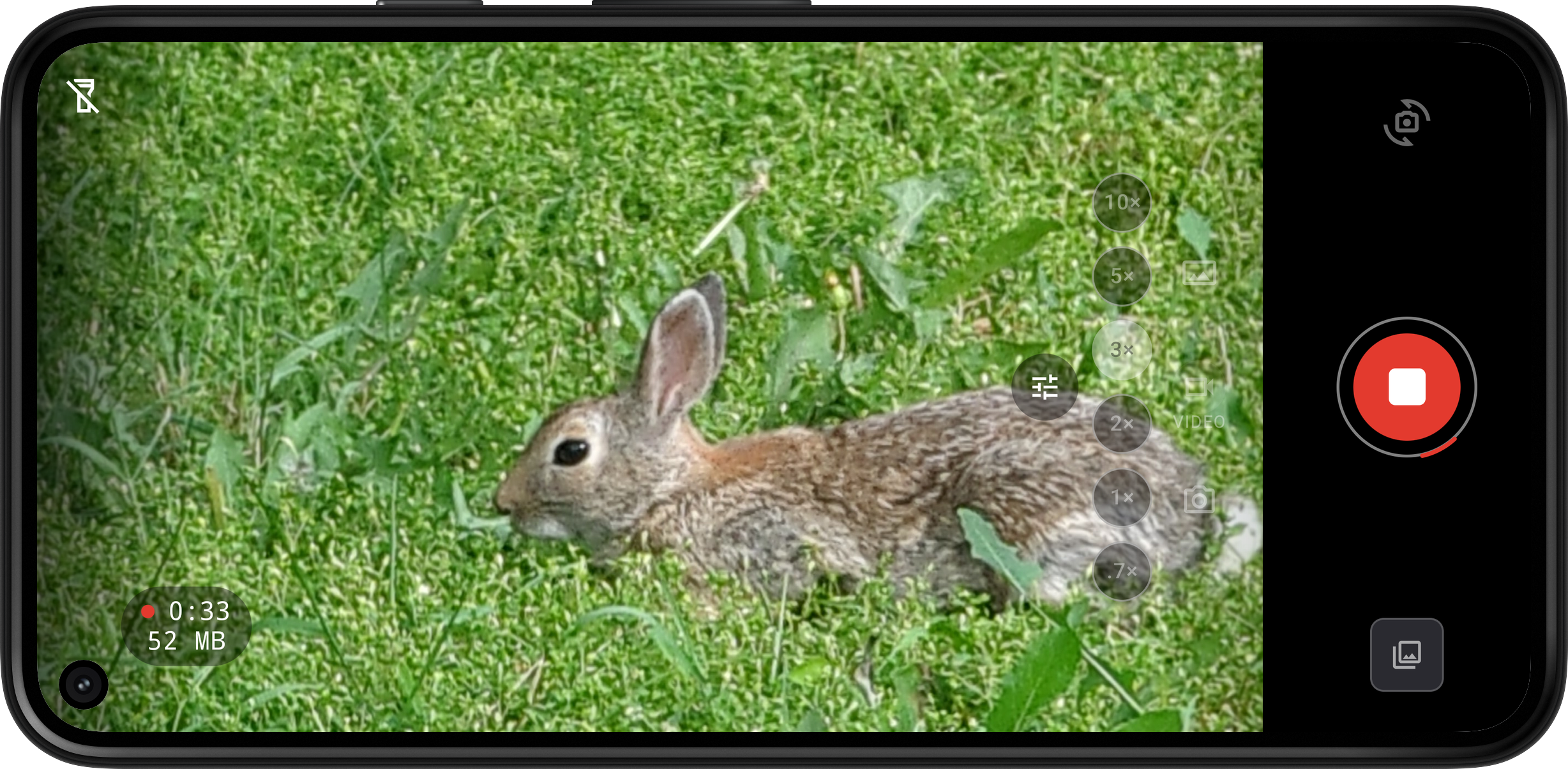 Halation viewfinder framing a rabbit in grass during video recording. The elapsed pill reads 0:11 with a 7 MB counter below; non-essential chips render at reduced opacity; a red stop button sits at the right.